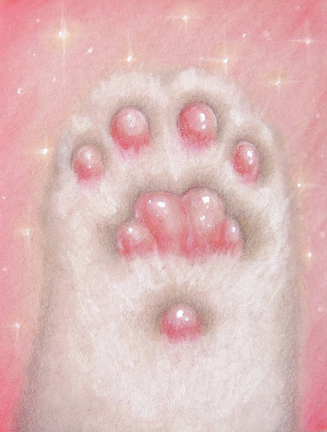 Cat's Paw Print Etsy