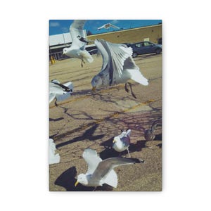 Seagull Canvas Wall Art, Nautical Decor, Coastal Vibes, Beach House Decoration, Bird Lovers Gift, Nature Inspired Artwork