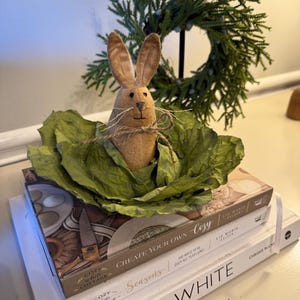 May include: A brown felt bunny rabbit with long ears sits in a green cabbage leaf. The bunny is tied with twine around its neck. The cabbage leaf is on top of a stack of three books. The top book is titled "Create Your Own Cozy" and the bottom book is titled "White for the love of..."