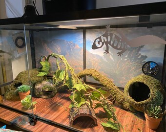 leopard gecko decor kit