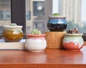 Set of 4 Flowing Glaze Ceramic Succulent Planter Pots,Small Unique Flower Plant Pots with Drainage,Desk Planter Pot,3.35 inch with Grid Pad