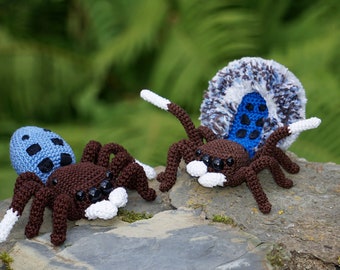 Peacock Spider Maratus nigromaculatus Crochet Pattern