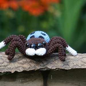 Peacock Spider Maratus nigromaculatus Crochet Pattern Bild 3