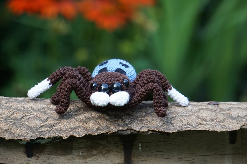 Peacock Spider Maratus nigromaculatus Crochet Pattern Bild 3