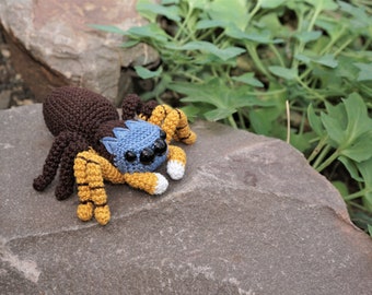 Peacock Spider Maratus banyowla Crochet Pattern Amigurumi