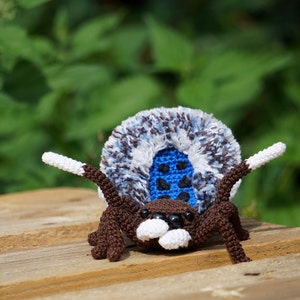 Peacock Spider Maratus nigromaculatus Crochet Pattern image 2