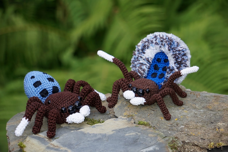 Peacock Spider Maratus nigromaculatus Crochet Pattern image 1