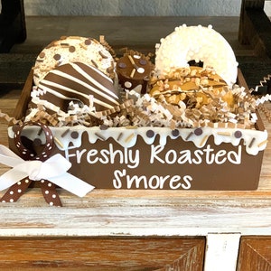 Fake Donuts. Faux s’mores donuts.