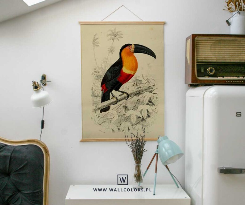 Retro Wall Art Tropical Prints Old Illustration Toucan Poster Wall Chart With Wooden Framed Prints Art Collectibles Vadel Com