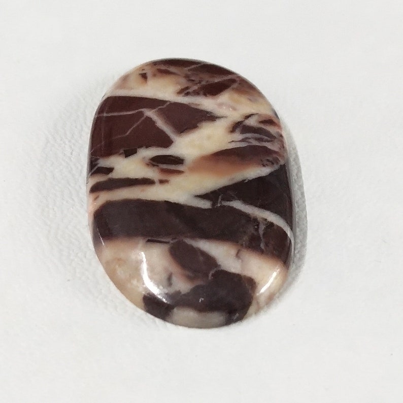 black and white zebra jasper black and white zebra jasper