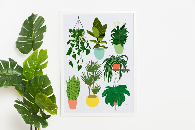 House Plants Illustrated Print Air Purifying Plants Etsy