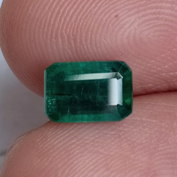 Vivid Green Natural Emerald Octagon | Emerald  | 1.53 Carats | For Emerald Studs |Emerald Earring | Handmade Earring |Emerald Charm | Dangl