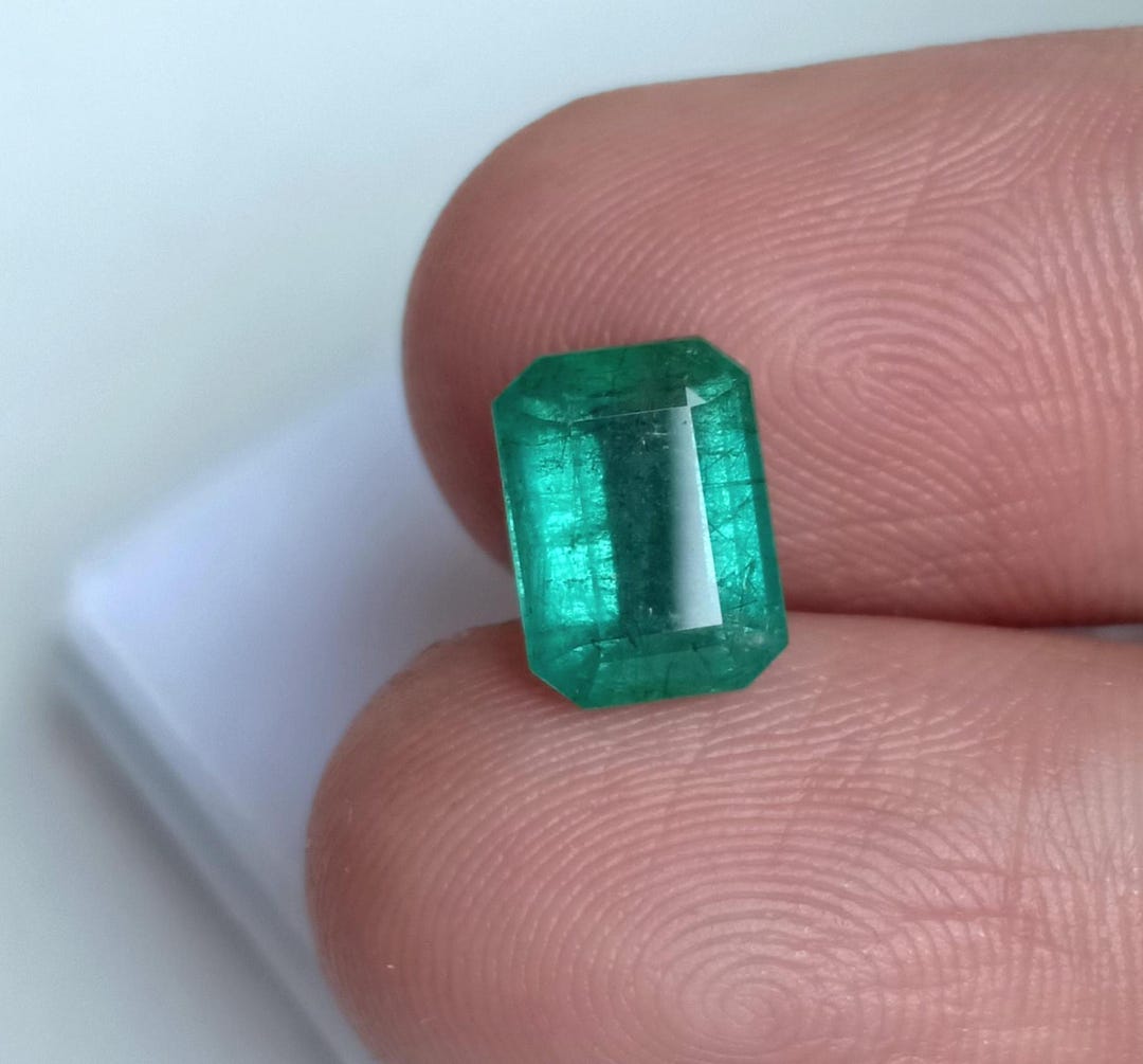 Zambia Histeridae　21mm $_57.JPG?set_id=880000500F