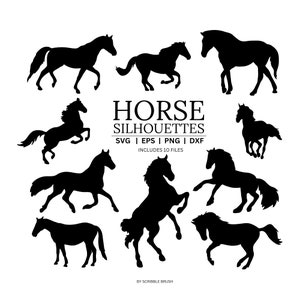 Fichiers de coupe cheval SVG, Svg d'écuries, ferme vie chemise Png, amour de cheval, fichiers Svg fille Jersey pour Cricut, Silhouette, fichier de coupe Svg