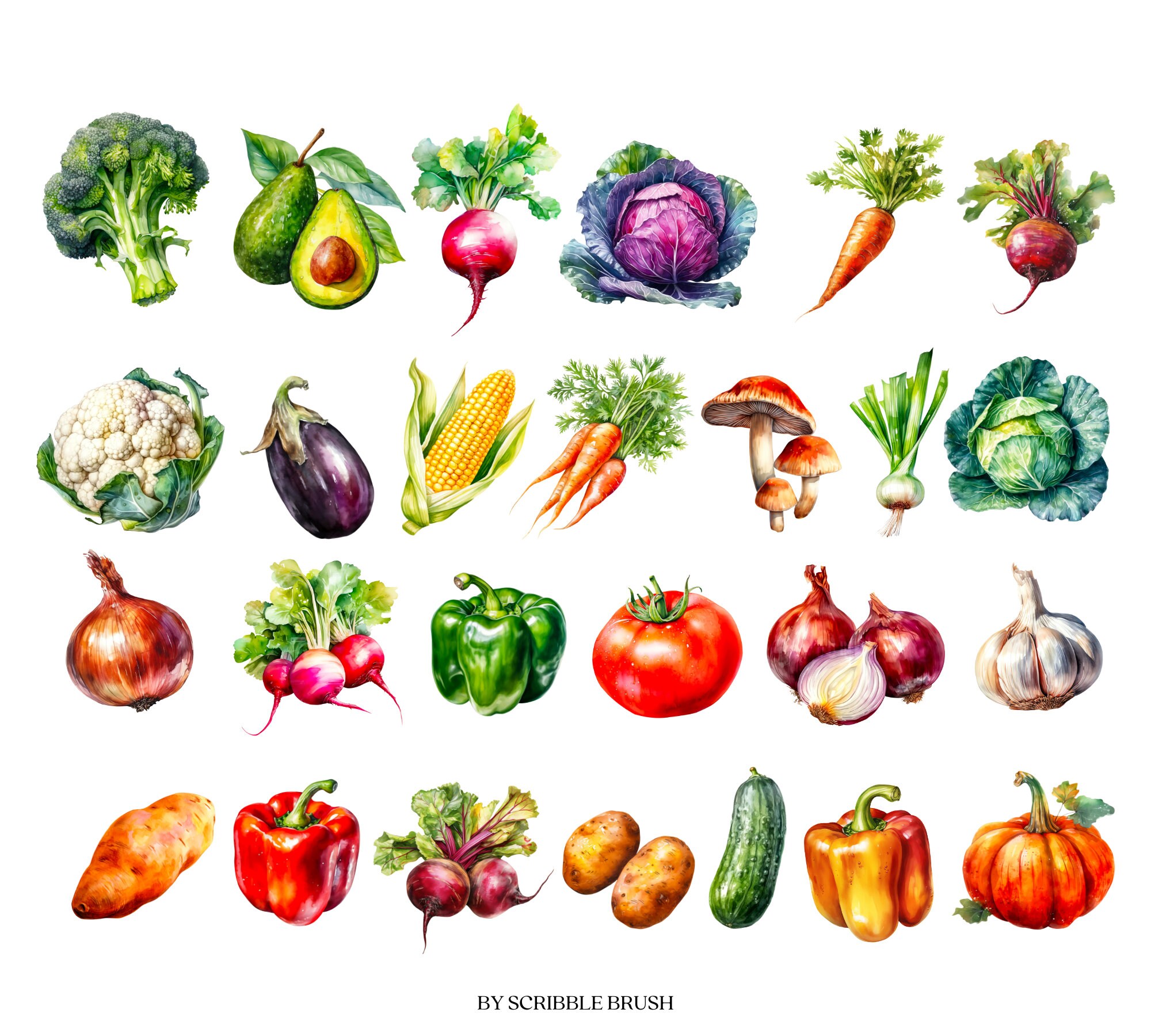 Watercolor Fruits & Vegetables Clipart PNG Bundle (digital Download) - Etsy