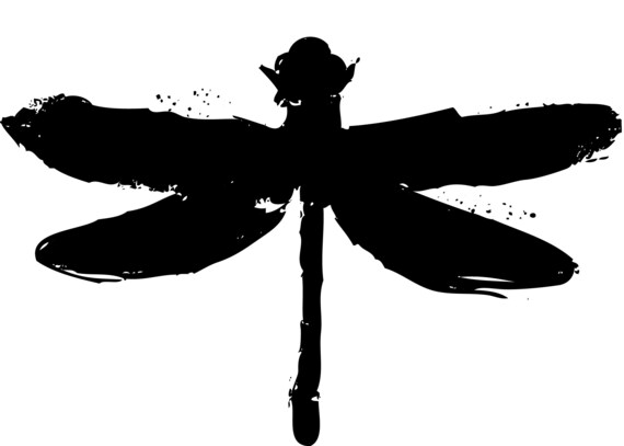 Coheed And Cambria Dragonfly Logo Heat Transfer Iron On Vinyl Etsy