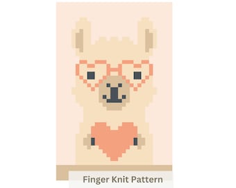 Schema per realizzare una coperta spessa a maglia con le dita: tutorial fai da te facile (download PDF)