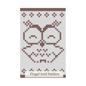Finger Knitting Owl Blanket Pattern: Chunky Chenille Yarn DIY (PDF Download)