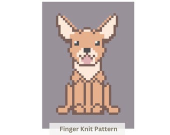 Chihuahua Hund Decke: Fingerstrick-Muster (PDF Muster)