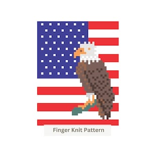 Op de afbeelding: Een pixel art ontwerp met een Amerikaanse zeearend in bruin, wit en oranje tegen een achtergrond van de Amerikaanse vlag met rode, witte en blauwe strepen en sterren. De tekst Finger Knit Pattern staat in het grijs onderaan de afbeelding.