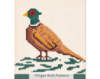 Fasan Chunky Blanket Finger Strick-Muster: Einfache DIY-Anleitung (PDF Download)