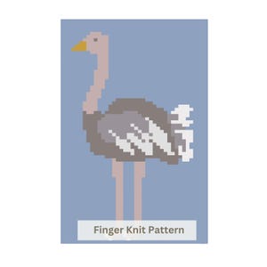 May include: A pixelated illustration of an ostrich in shades of gray, white, and tan, with a yellow beak, set against a light blue background. The text "Finger Knit Pattern" is displayed in a white rectangle at the bottom.