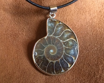 May include: A silver pendant featuring a fossilized ammonite with a brown and white spiral pattern. The pendant is hanging from a black leather cord.