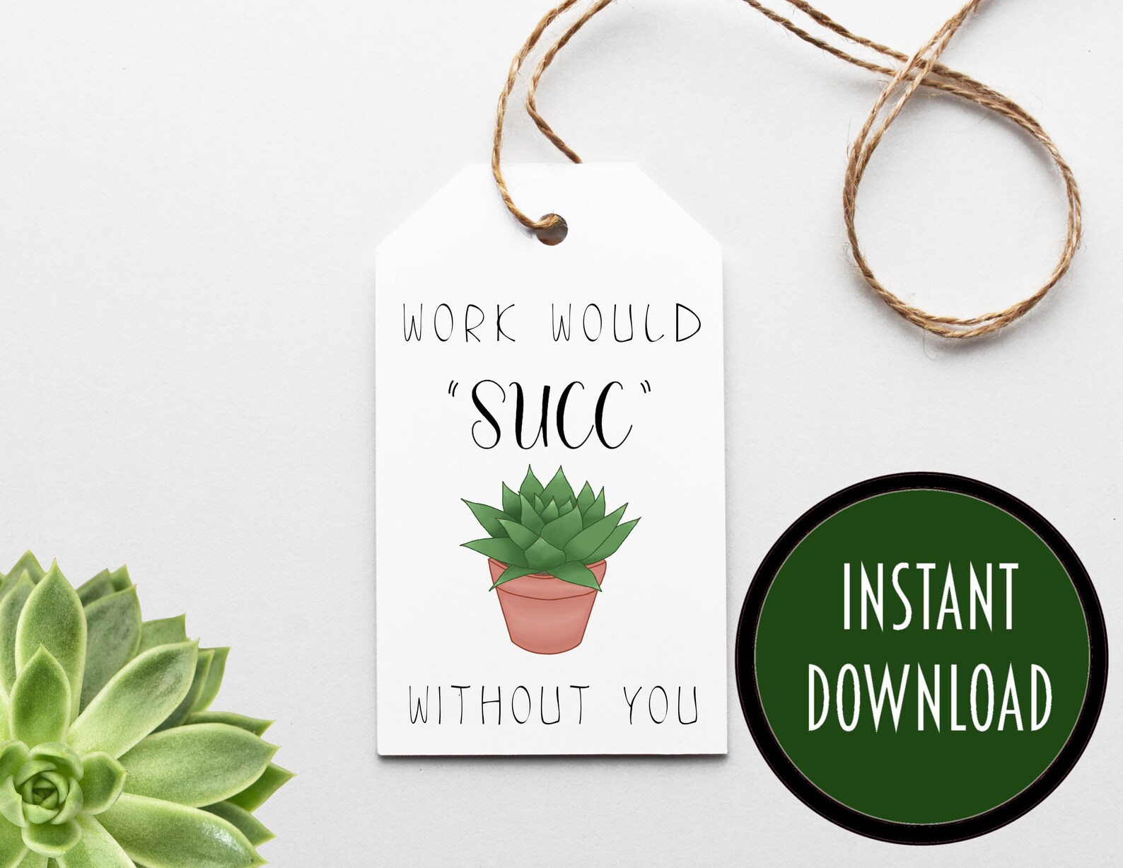 Work Succulent Gift Tags 9 Gift Tags Succulent Tags - Etsy