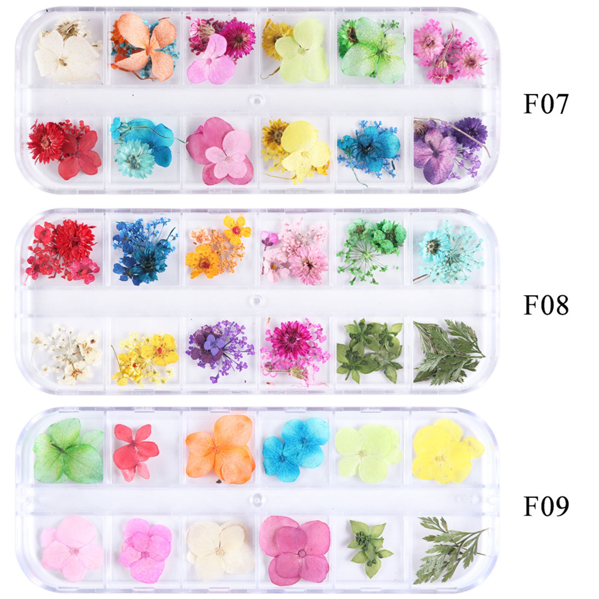 1box Mixed Dried Flowers Nail Natural Dried Flower Nail Art. Etsy