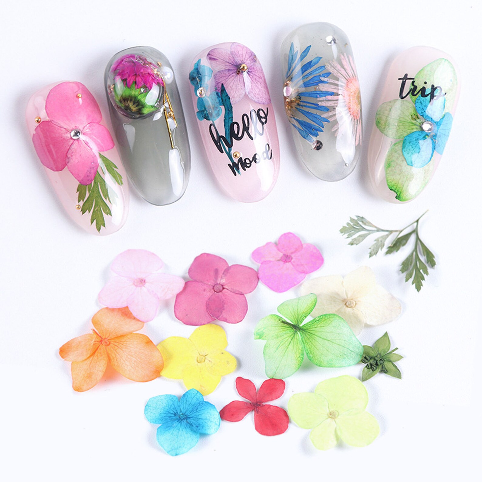 1box Mixed Dried Flowers Nail Natural Dried Flower Nail Art. Etsy