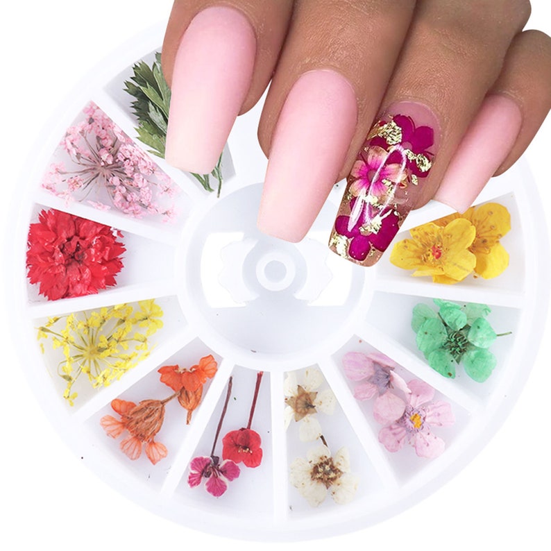 1box Mixed Dried Flowers Nail Natural Dried Flower Nail Art. Etsy