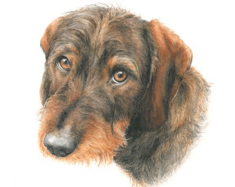 Custom Wire-Haired Dachshund Watercolor Painting: Personalized Pet Portrait