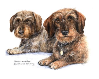 Personalised Watercolour Pet Portrait from photo, Custom dog painting, long haired dachshund