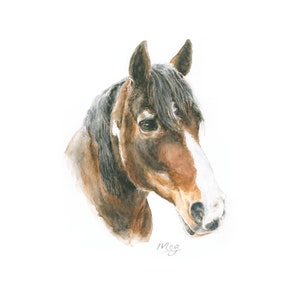 Custom original watercolour horse portrait-Hand painted watercolour painting of your horse or pony-Custom horse portrait-Original equine art