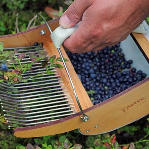 Engraved Wooden Berry Picker Personalized Garden Tool Blueberry Harvesting Rake Garden Decor Gift for Berry Collectors Forest Tool image 5