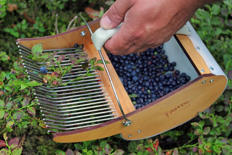 Engraved Wooden Berry Picker Personalized Garden Tool Blueberry Harvesting Rake Garden Decor Gift for Berry Collectors Forest Tool image 5