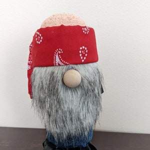 Gnomo motociclista, Gnomo de decoração, gnomo careca