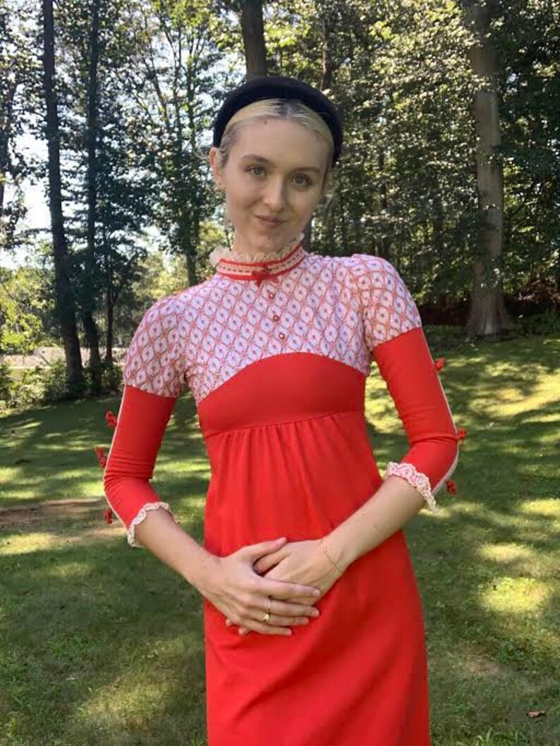 Vintage Cottagecore Victorian Dress Prairie Victoriana