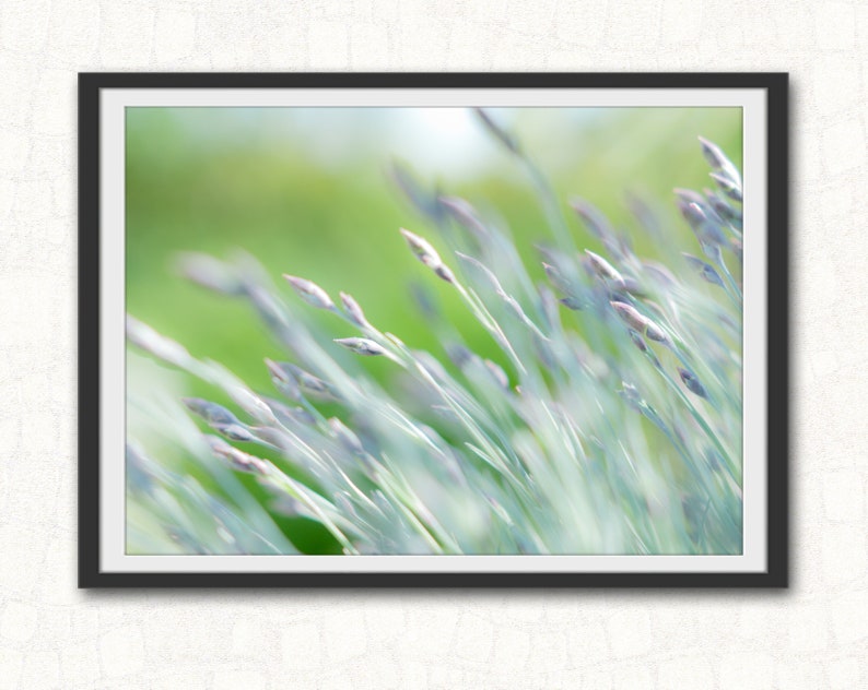 Grass Wall Art, Botanical Picture Printable, Printable Wall Home Decor