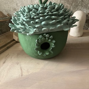 Caja Nido