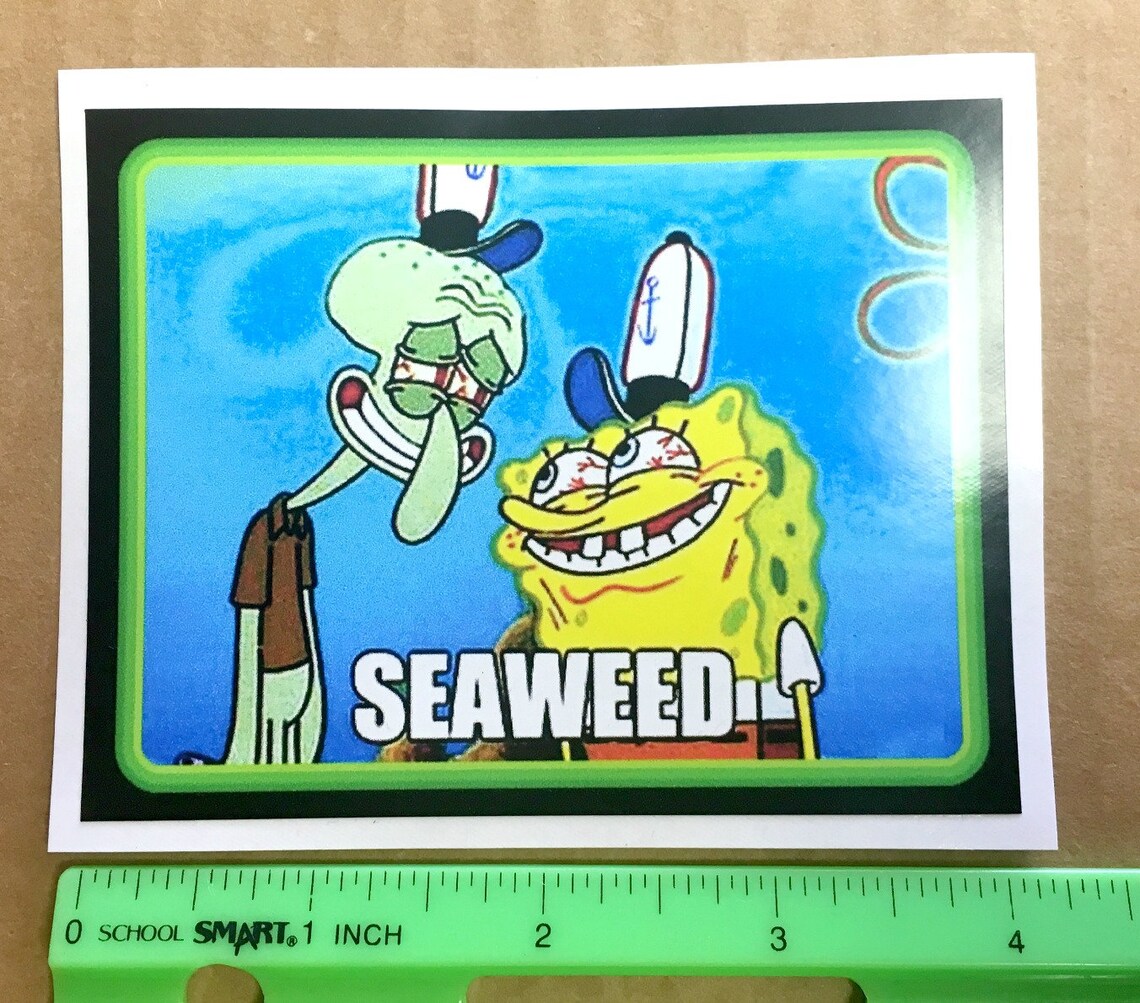 4 Funny SpongeBob Squidward SEAWEED vinyl sticker. Etsy