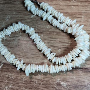 May include: A necklace composed of numerous small, irregular, off-white shell chips strung together. The strand features a silver-toned metal lobster claw clasp at the end, securing the continuous arrangement of the natural, textured shell pieces.