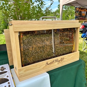 Observation Hive / Bee hive / 2 Frame Observation Hive / Apiary
