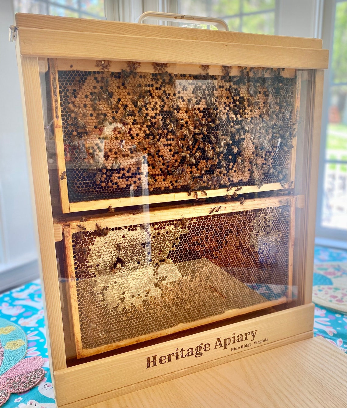 Observation Hive / Bee Hive / Nuc 4 Frame Observation Hive / Etsy