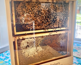 Observation Hive / 4 Frame Bee Hive for Classroom or STEM Projects / Nuc / Apiary