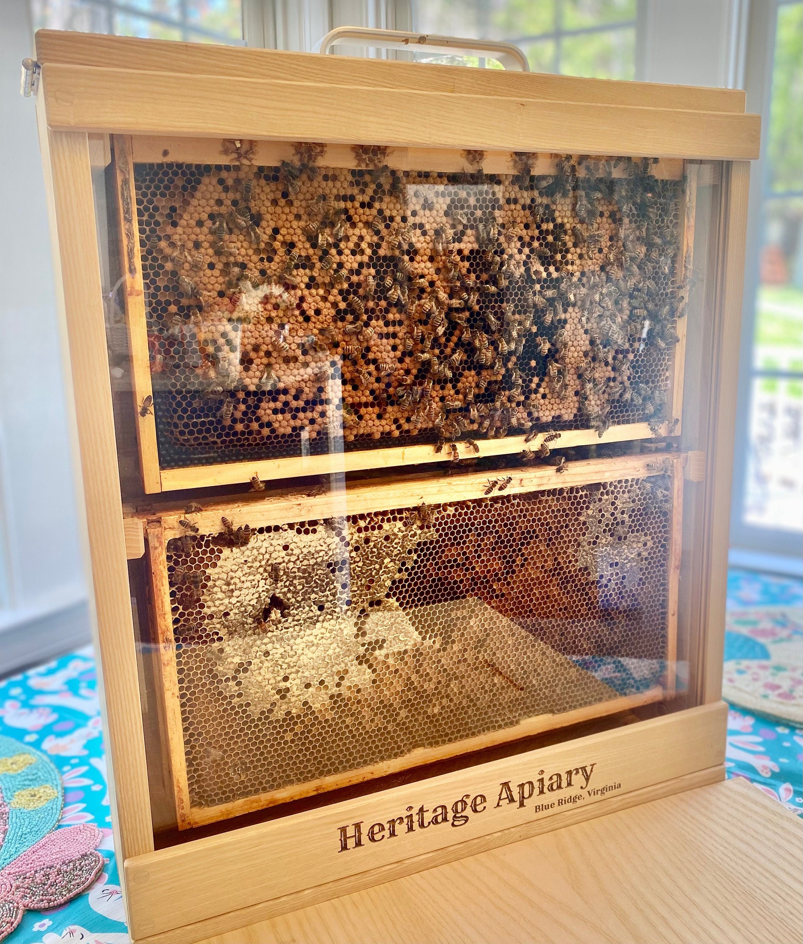 Observation Hive / Bee Hive / Nuc 4 Frame Observation Hive / Etsy