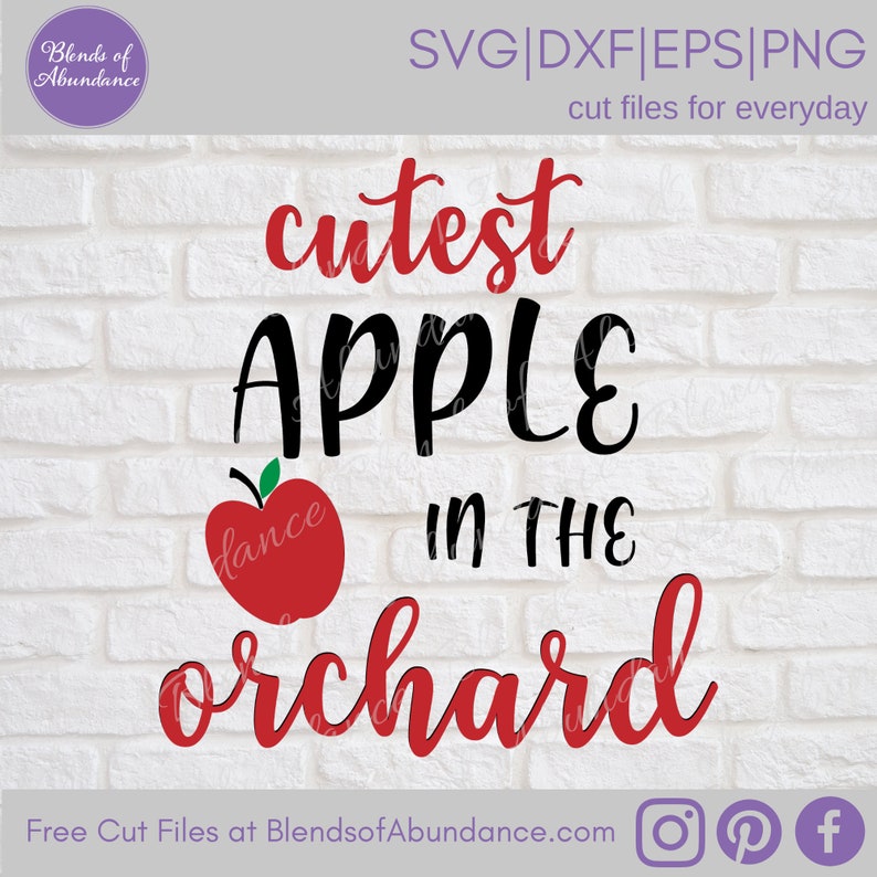 Cutest Apple in the Orchard SVG Cutest Apple Svg Baby Etsy