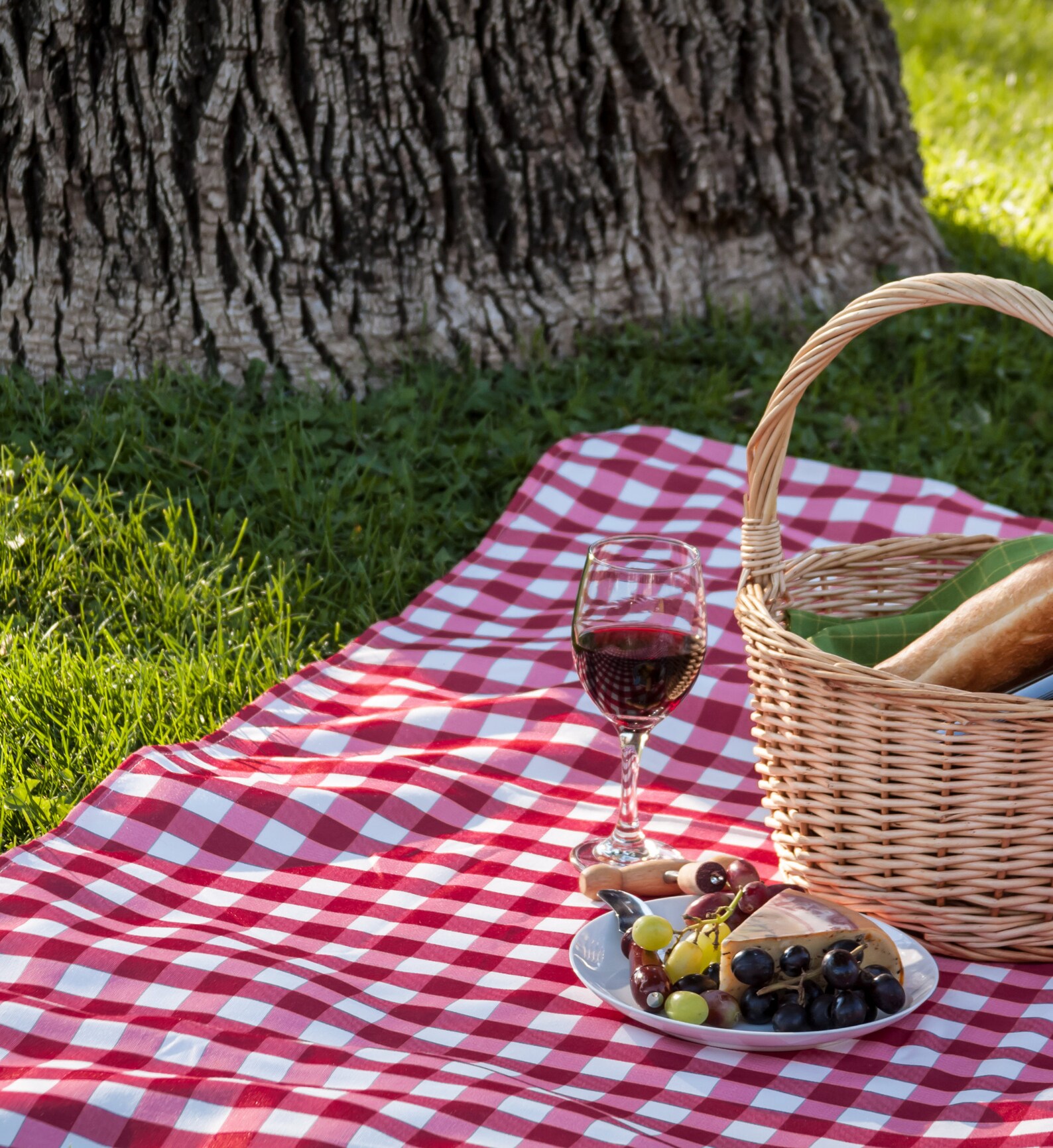 Picnic Blanket Different Sizes 100 Cotton Traditional Etsy