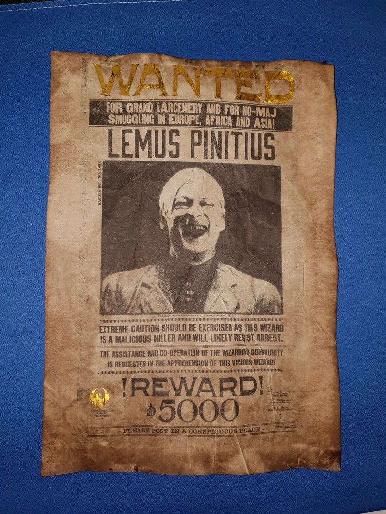 Harry Potter Hogwarts Wanted Posters with gold leaf. Replica | Etsy