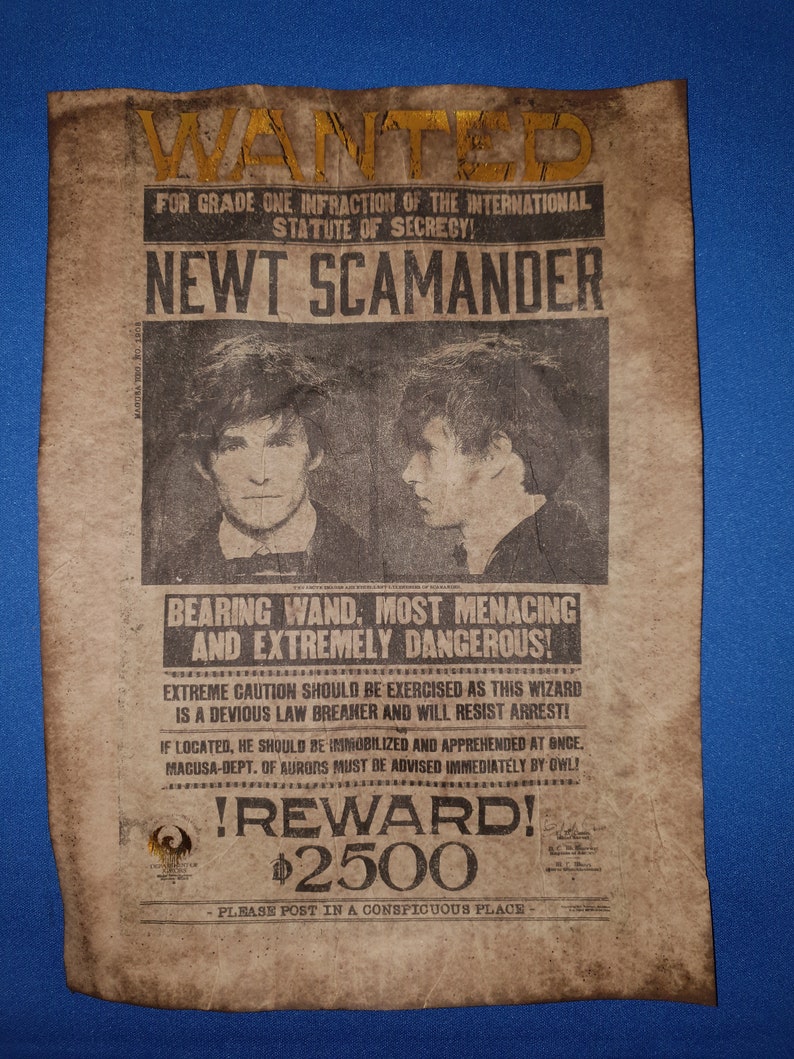 Harry Potter Hogwarts Wanted Posters with gold leaf. Replica Etsy